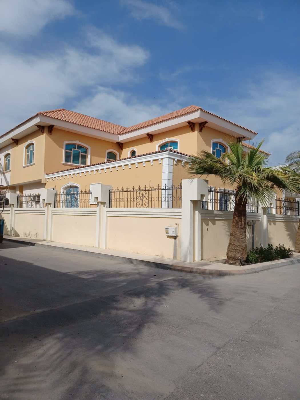 دهانات خارجية لفيلا سكنية وتشطيب واجهات